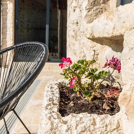 فيلة Luxury Cortile بنكوفاتش